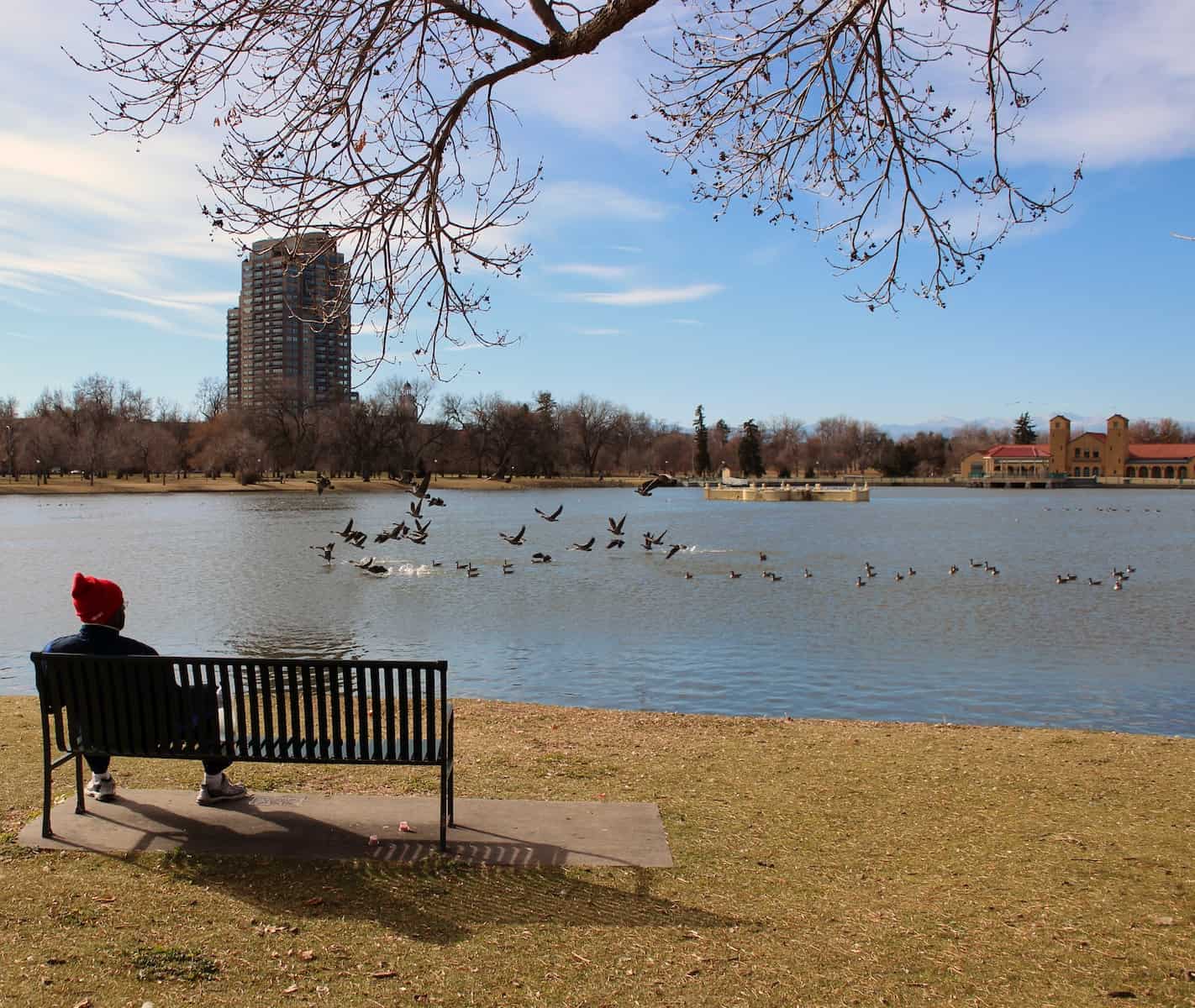 Top 10 Walkable Neighborhoods in Denver Metro with Great Amenities